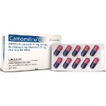 Ficha técnica e caractérísticas do produto Camomilina C C/ 20 Cápsulas