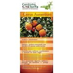 Ficha técnica e caractérísticas do produto Kit Capsula Citrus Aurantium 300mg - 2 potes