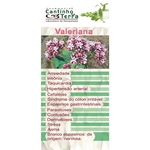 Ficha técnica e caractérísticas do produto Kit Capsula Valeriana 250mg - 2 potes