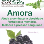 Ficha técnica e caractérísticas do produto Cápsulas Amora 300mg - 60caps