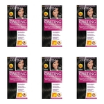 Ficha técnica e caractérísticas do produto Casting Tinta Creme Gloss 300 Castanho Escuro (kit C/06)