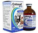 Ficha técnica e caractérísticas do produto Catosal B12 100ml