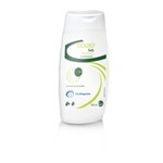 Ficha técnica e caractérísticas do produto Ceva Douxo Seb Shampoo 200ml