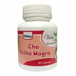 Chá Folha (pholia) Magra 500mg - 60 Cápsulas - Vida Natural