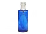 Ficha técnica e caractérísticas do produto Christine Darvin Blue Soul Perfume Masculino - Eau de Toilette 100ml