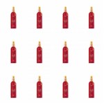 Ficha técnica e caractérísticas do produto Ciclo Rouge Body Splash Rouge Perfume 250ml (Kit C/12)