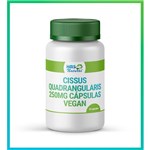 Ficha técnica e caractérísticas do produto Cissus Quadrangularis 250mg Cápsulas Ho Vegan 30 Cápsulas