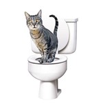 Ficha técnica e caractérísticas do produto Citikitty Bandeja Higienica Treinamento Sanitario para Gatos