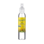 Citronela Spray Para Ambientes E Tecidos Orgânico 200 Ml Citrojelly Wnf
