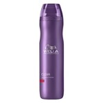 Ficha técnica e caractérísticas do produto Clean Wella - Shampoo Anticaspa - 250ml - 250ml