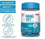 Ficha técnica e caractérísticas do produto Cloreto de Magnésio Magvit + Vitamina B6 60 Cápsulas 750mg