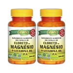 Cloreto De Magnésio P.A. + Vitamina B6 - 60 Cápsulas 800mg Unilife Kit 4 Unidades
