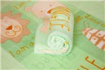 Ficha técnica e caractérísticas do produto Cobertor Bebê Zoo Verde - Cobertores Parahyba