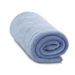 Ficha técnica e caractérísticas do produto Cobertor Microfibra Liso Queen Azul Camesa