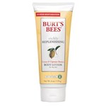 Ficha técnica e caractérísticas do produto Cocoa And Cupuaçu Butters Body Lotion Burts Bees - Hidratante Corporal - 170g