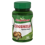 Ficha técnica e caractérísticas do produto Cogumelo - 90 cápsulas - 400mg