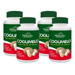 Ficha técnica e caractérísticas do produto Cogumelo Concentrado Natuclin - 60 Cápsulas 750mg