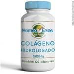 Ficha técnica e caractérísticas do produto Colágeno Hidrolisado 500Mg - 120 Cápsulas