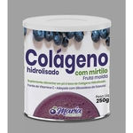 Colágeno Hidrolisado Com Mirtilo (fruta Moída) - 250g