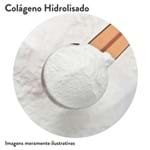 Ficha técnica e caractérísticas do produto Colágeno Hidrolisado Granel (500G)