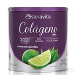 Ficha técnica e caractérísticas do produto Colageno Skin 300g - Sanavita