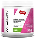 Ficha técnica e caractérísticas do produto Colagentek Vitafor - 300g