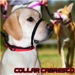 Ficha técnica e caractérísticas do produto Coleira Cabresto para Cães Tamanho M - Molinas Pet