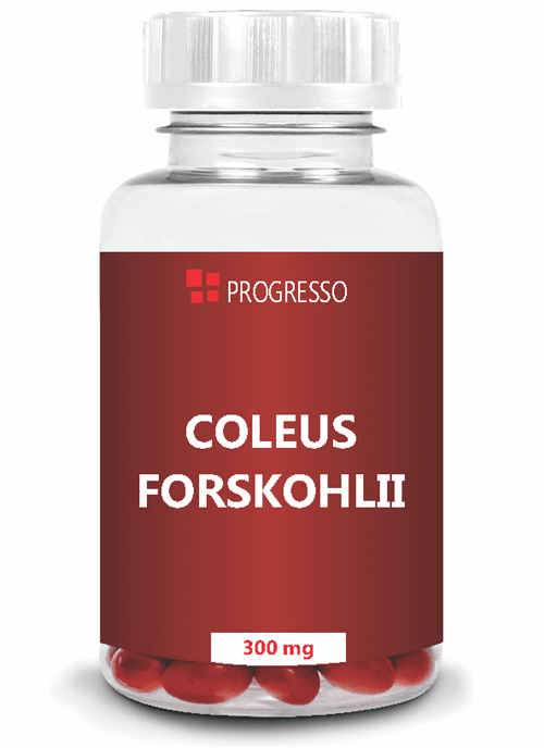 Ficha técnica e caractérísticas do produto Coleus Forskohlii 300 Mg 60 Cápsulas