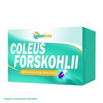 Ficha técnica e caractérísticas do produto Coleus Forskohlii 300MG 120 Cápsulas