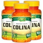 Ficha técnica e caractérísticas do produto Colina Unilife Vitamina B8 60 Cápsulas Kit com 3