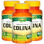 Ficha técnica e caractérísticas do produto Colina Vitamina B8 60 Cápsulas Kit com 3 - Unilife