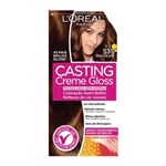 Ficha técnica e caractérísticas do produto Coloração Casting Creme Gloss L'Oréal Paris 535 Chocolate