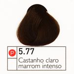 Ficha técnica e caractérísticas do produto Coloração Instantly Collor Castanho Claro Intenso 5.77 - Alpha Line