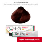 Ficha técnica e caractérísticas do produto Coloração Itallian Color Professional 60g Castanho Vermelho Irisado 5.62