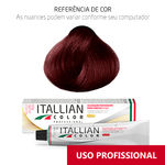 Ficha técnica e caractérísticas do produto Coloração Itallian Color Professional 60g Louro Escuro Vermelho Irisado 6.62