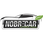 Ficha técnica e caractérísticas do produto Condicionador de Couro Premium Nobre Car 500gr