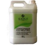 Ficha técnica e caractérísticas do produto Condicionador Ice Neutro Garji Hair