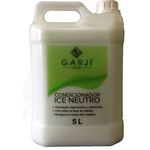 Ficha técnica e caractérísticas do produto Condicionador ice Neutro Garji Hair