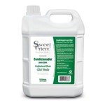 Ficha técnica e caractérísticas do produto Condicionador Professional Clean Sweet Friend Chá Verde 5L