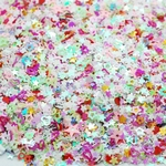 Ficha técnica e caractérísticas do produto Confetti Colorido Formas Misturadas Festa De Casamento Confete Diy Glitter Nail Art Decoração