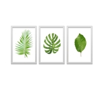 Ficha técnica e caractérísticas do produto Conjunto Kit 3 Quadros Folhas Verdes Moldura Branca