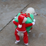 Ficha técnica e caractérísticas do produto Costumes de Natal Cão engraçado Papai Noel do presente do cão roupa do filhote de cachorro de veludo casaco quente roupas de inverno Pet