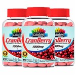 Ficha técnica e caractérísticas do produto Cranberry 1000mg - 3 Un de 60 Comprimidos - Lauton - Lauton Nutrition