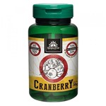 Cranberry 500mg 60 cápsulas - Kampo de Ervas