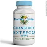 Ficha técnica e caractérísticas do produto Cranberry Extrato Seco 500Mg - 60 Cápsulas