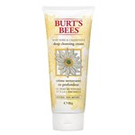 Ficha técnica e caractérísticas do produto Creme de Limpeza Facial Burts Bees Soap Bark Chamomile Deep Cleansing Cream
