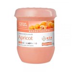 Ficha técnica e caractérísticas do produto Creme Esfoliante Apricot Media Abrasão 650G D'agua Natural