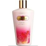 Ficha técnica e caractérísticas do produto Creme Hidratante Body Lotion Victorias Secret - Pure Seduction