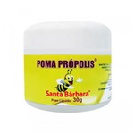 Ficha técnica e caractérísticas do produto Creme Poma Própolis - 30g - Santa Barbara