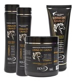 Ficha técnica e caractérísticas do produto Crina de Cavalo Shampoo + Enxaguante + Mascara + Selador - Fiovit